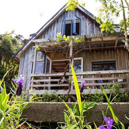 Fern Lodge Coromandel ภายนอก รูปภาพ