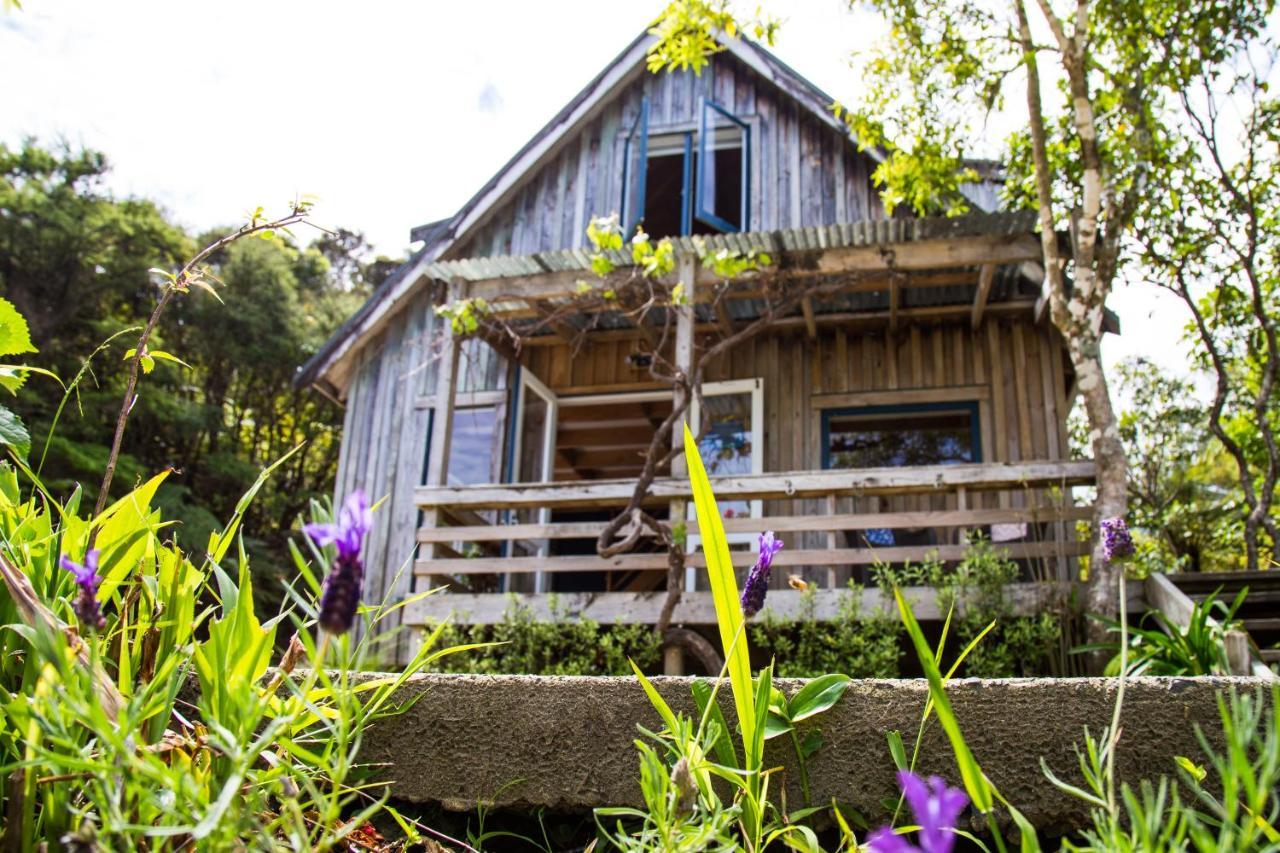 Fern Lodge Coromandel ภายนอก รูปภาพ